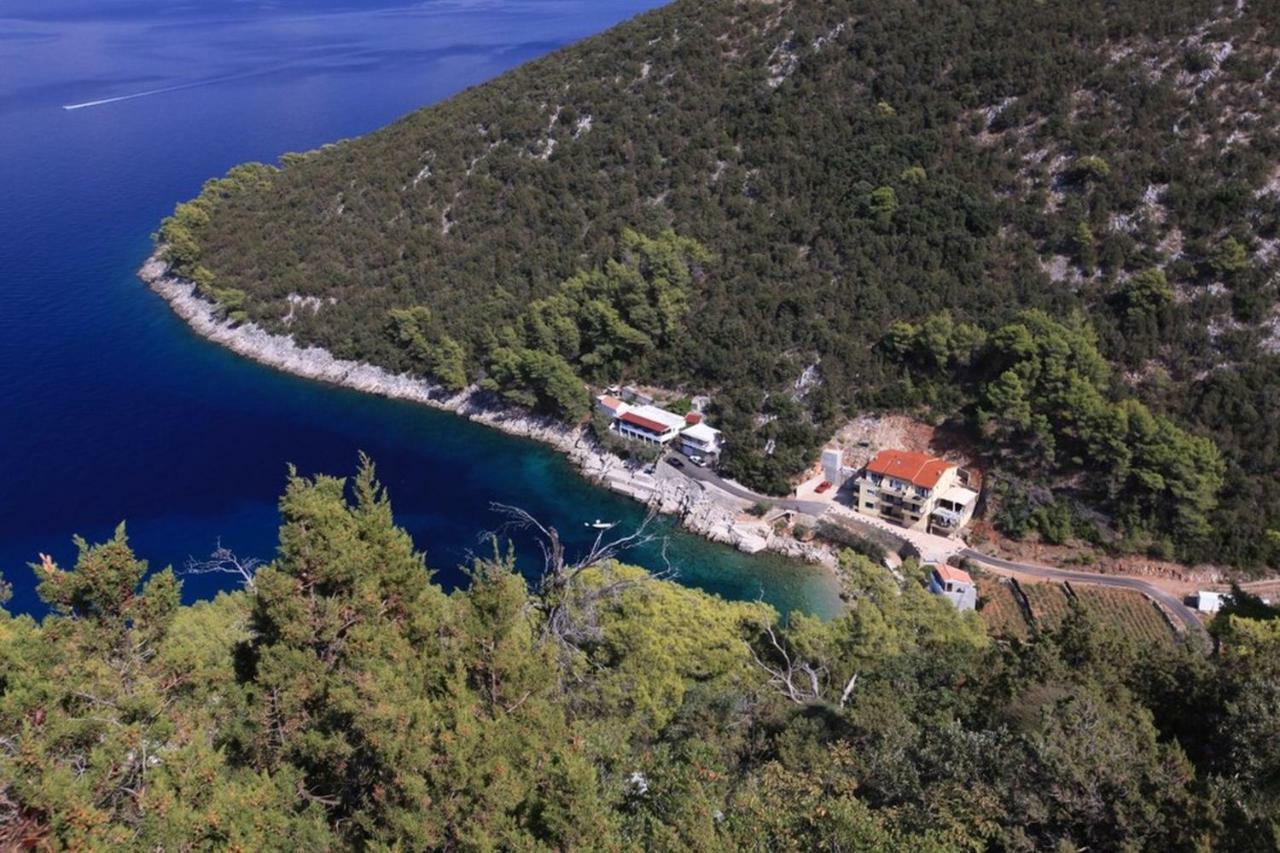 Appartement Robinson Bella